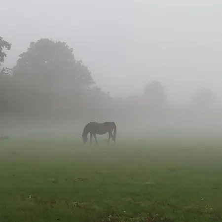 Сasa de vacaciones Kaer Vestermark *