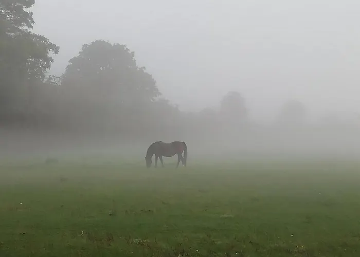 Сasa de vacaciones Kaer Vestermark *